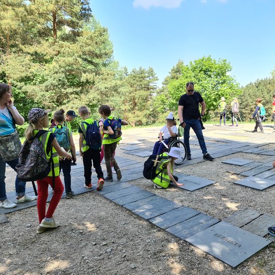 Antrokai su mokytojais apžiūrinėja Gedimino genealoginį medį Karigailos kalvoje.