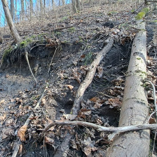 Nuotraukoje matoma vandeniu tekanti, šlapia nuošliauža yra Didžiosios griovos dešiniajame šlaite. 