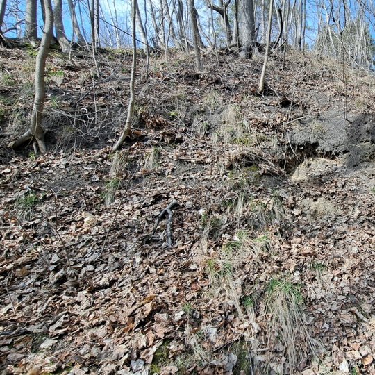 Nuotraukoje vaizduojama nuošliauža yra Trijų kryžių kalno šlaite, prie Vilnelės upės, už Nyderlandų ambasadoriaus rūmų.