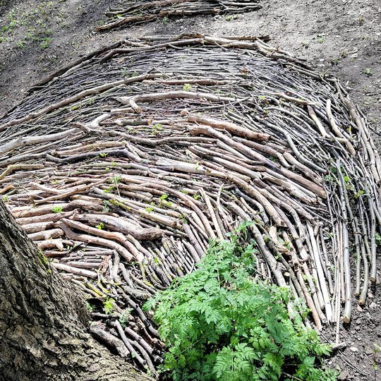 Žemės meno instaliacijoms naudotos daugiausiai gamtoje randamos medžiagos. Šioje nuotraukoje ant žemės dėliotos šakelės suformuoja bangą.