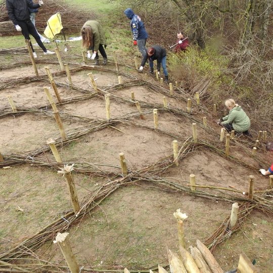 Darbams einant į pabaigą, beliko sutvirtinti viela aplink kuolus likusias laisvas vyteles.