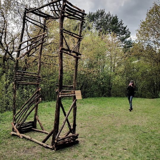 Skulptūra, pagaminta iš medžio šakų ir rąstų Stalo kalno šiaurės vakarų atragyje.