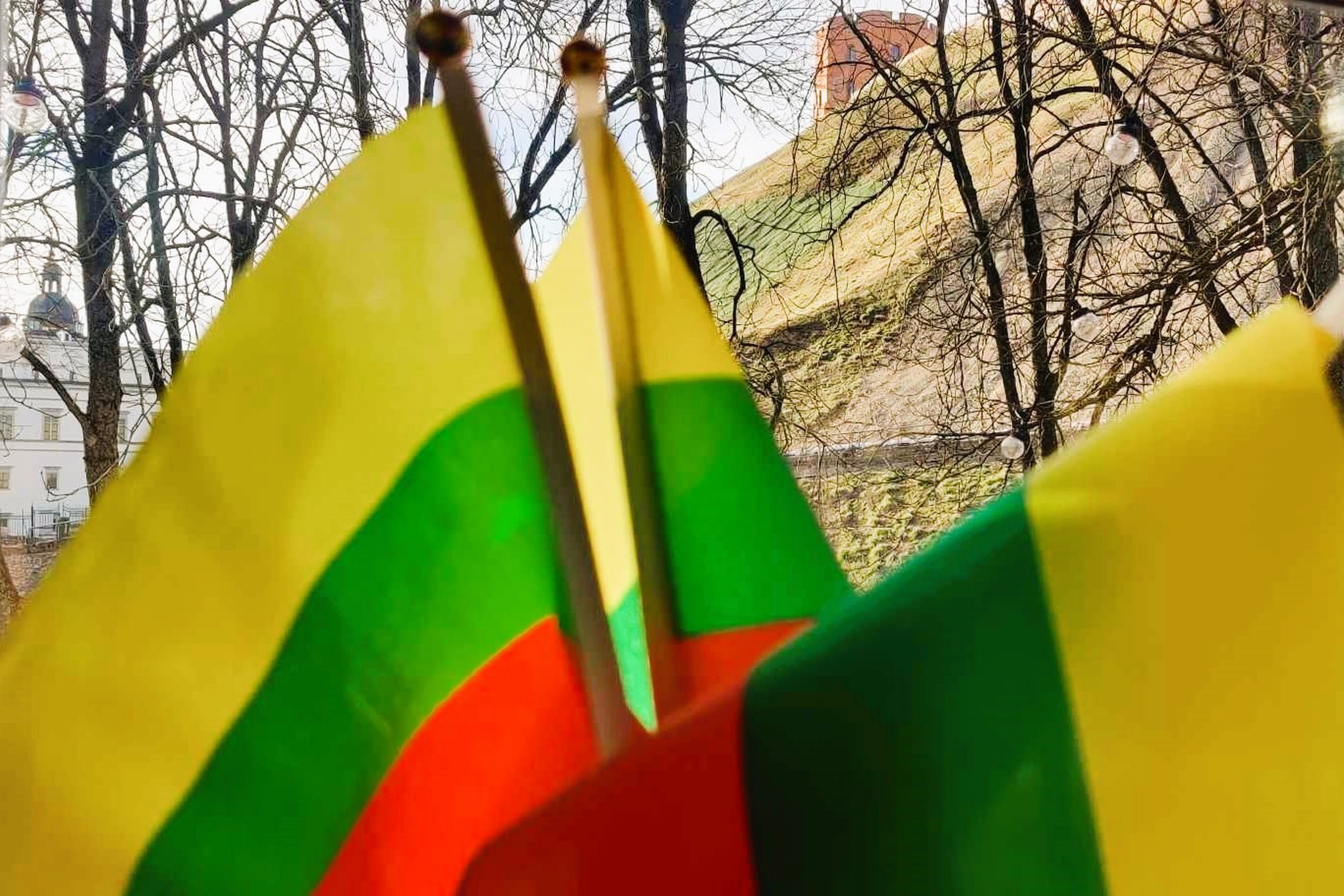 Trys Lietuvos vėliavėlės. Pro jas matosi Gedimino pilies kalnas.