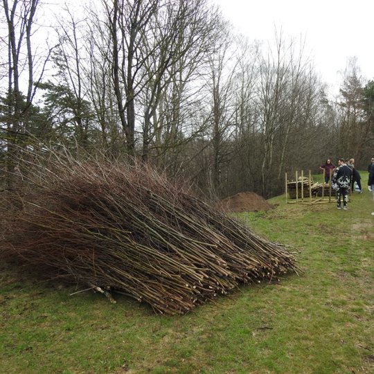 Dėkojame "Rekreacinei statybai" už atvežtą krūvą vytelių, kurios buvo panaudotos apipinant sukaltus kuolus.