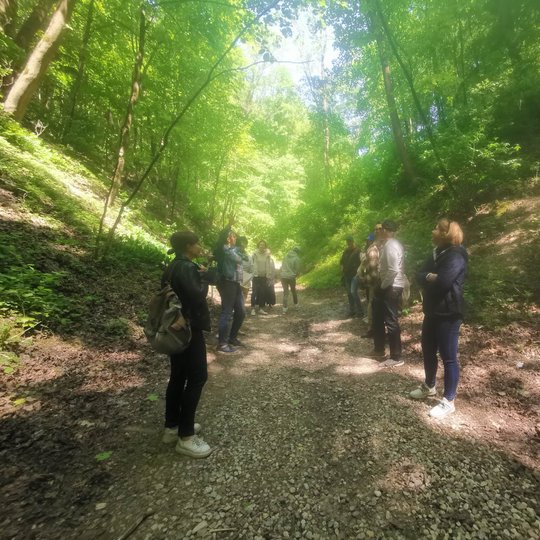 Lankytojai gėrisi sužaliavusia Didžiąja griova.