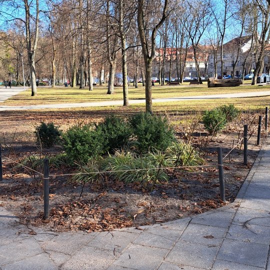 Sereikiškių pagrindinio tako gėlynas, apjuostas juodais mediniais kuolais ir džiuto virve.