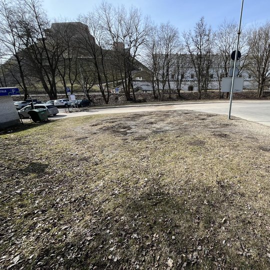 Veja prie JUDU stovėjimo aikštelės, kur dar lauksime žolės atsėjimo.