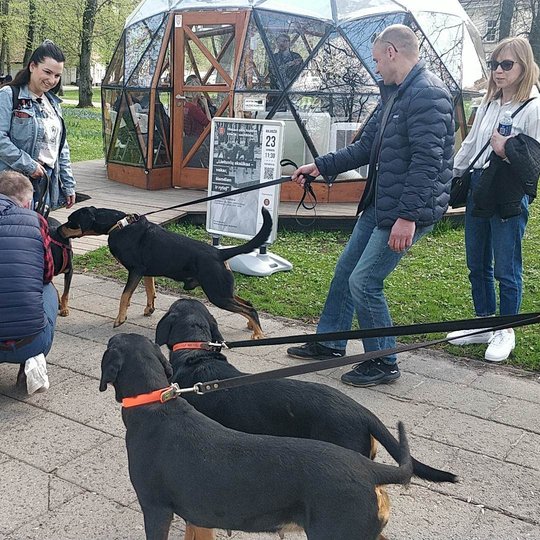 Prie kupolo susirinkę šunų šeimininkai pažindina savo kailiuotus draugus.