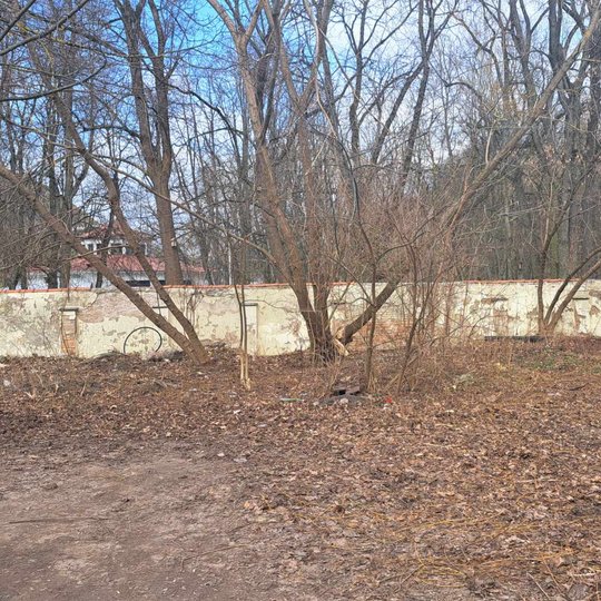 Nufotografuota vieta, kur buvo nuvirtęs medis Kirdiejų rūmų kieme. Jis jau pašalintas.