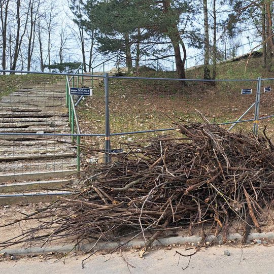 Viena iš savanorių jau pasiruošusi mesti glėbį šakų į jų krūvą kalno papėdėje.