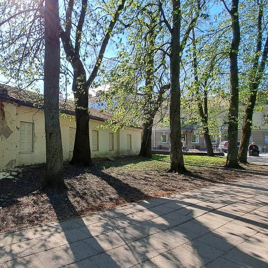 Pradėjusi birti Kirdiejų rūmų vežiminė iš Pilių parko pusės.
