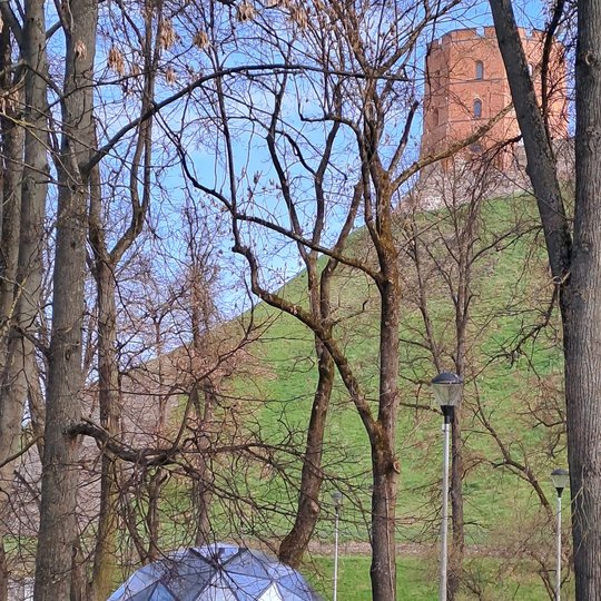 Vilniaus pilių kupolas yra Pilių parke, tarp Gedimino pilies kalno ir Barboros Radvilaitės gatvės.