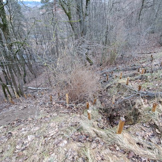 Nufotografuota Stalo kalno tvirtintame šlaite atsivėrusi griova.