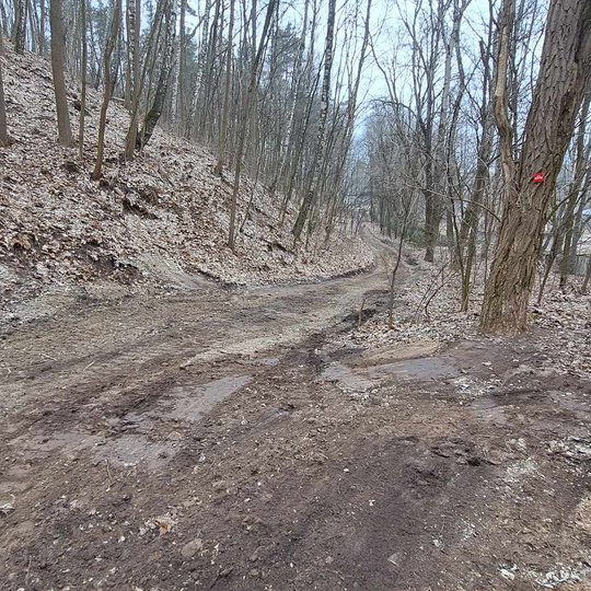 Nuotraukoje Stalo kalno šiaurės rytinėje pusėje esantis kelias, kurio buvusios duobės nustumtos ir išlygintos.