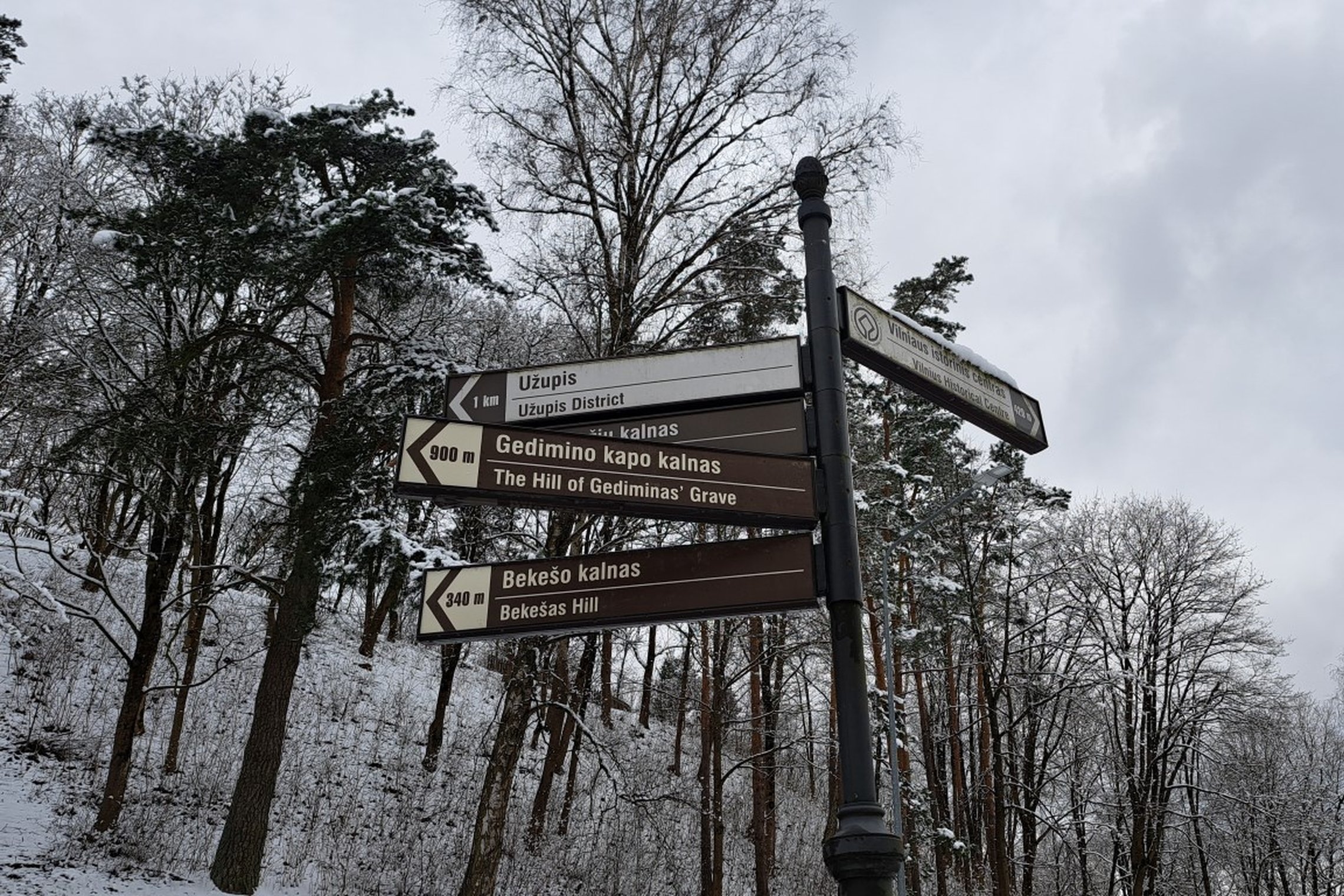 Sutvarkyta Gedimino kapo kalno link kryptį nurodanti rodyklė.