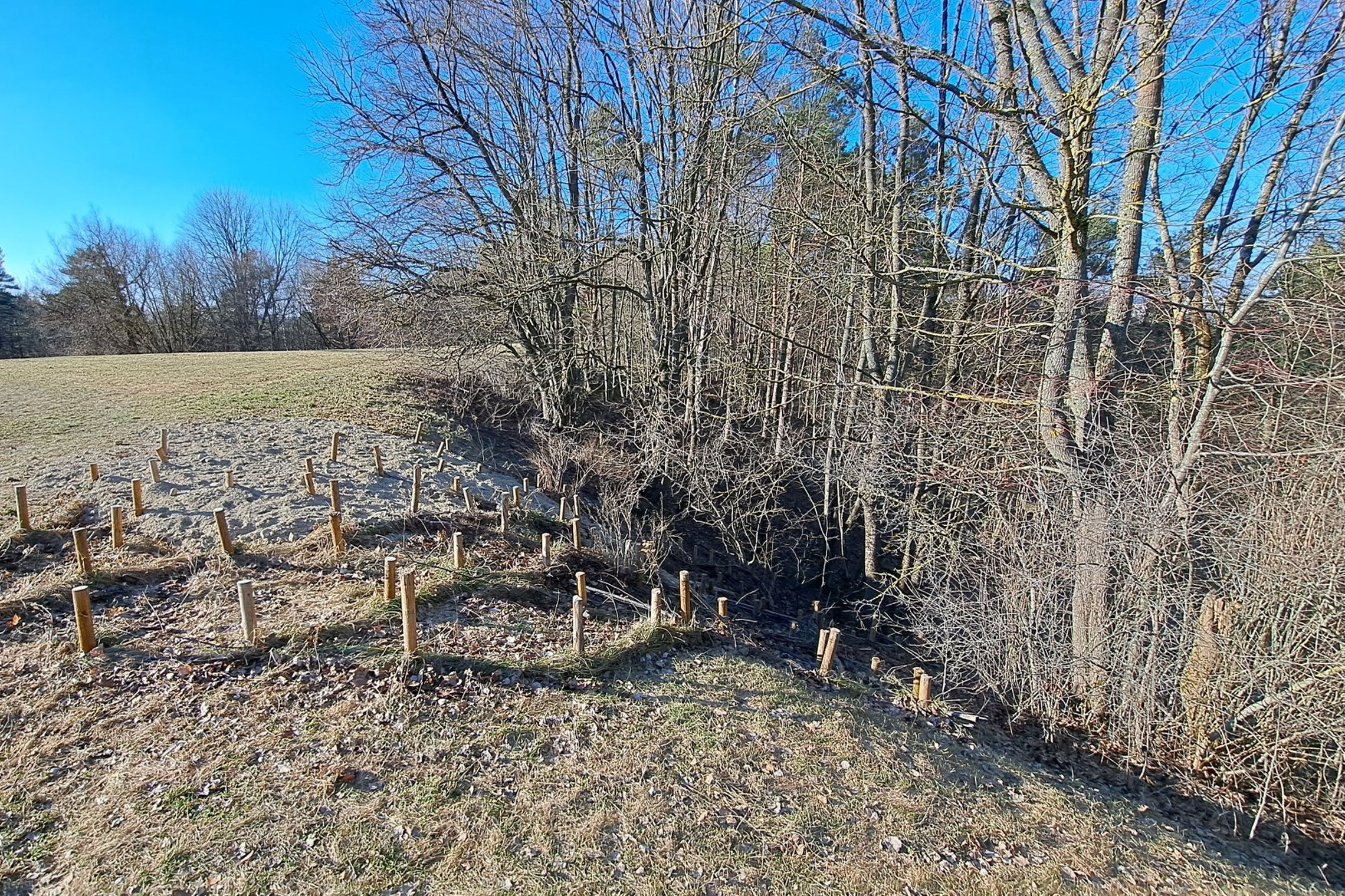 Stalo kalno šiaurinis šlaitas, tvirtintas kuolais, medžio vytelėmis, žemėmis ir naujai užpilta skalda.