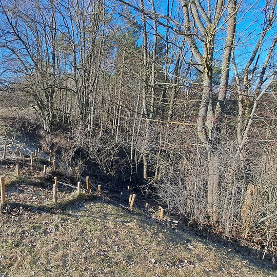 Stalo kalno šiaurinis šlaitas, tvirtintas kuolais, medžio vytelėmis, žemėmis ir naujai užpilta skalda.