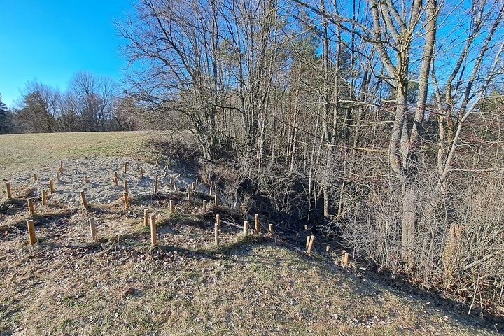 Stalo kalno šiaurinis šlaitas, tvirtintas kuolais, medžio vytelėmis, žemėmis ir naujai užpilta skalda.