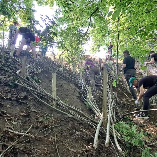Darbo sąlygos buvo nelengvos - vyteles pinti teko stačiame šlaite, todėl jautėmės lyg tikri tarzanai.