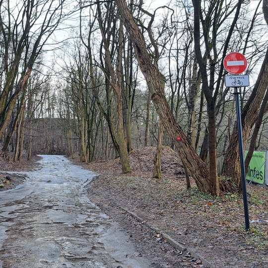 Nufotografuotas seniau įrengtas kelio ženklas kelyje į Stalo kalną - plyta. Ženklas draudžia į teritoriją įvažiuoti automobiliams.