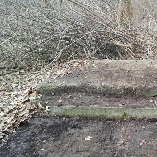 Augaliniu gruntu užpiltos lauko tualeto skylės Bevardžio kalno papėdėje.