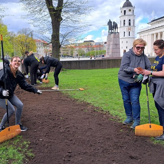 Nuotaikinga nuotrauka, kurioje dvi savanorės fotografuoja trečiąją su grėbliu.
