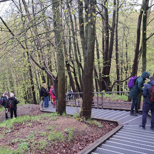 Pasiskirstę poromis, savanoriai valo Gedimino kapo kalno laiptų turėklus.