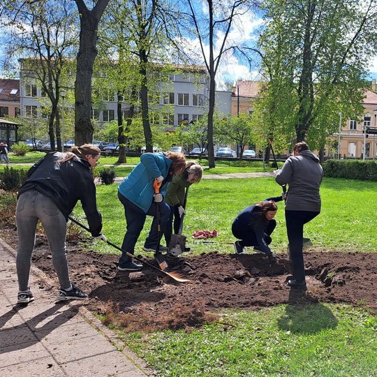 Supurentą veją savanoriai grėbė grėbliais, išlygino ir paruošė sėklų bėrimui.