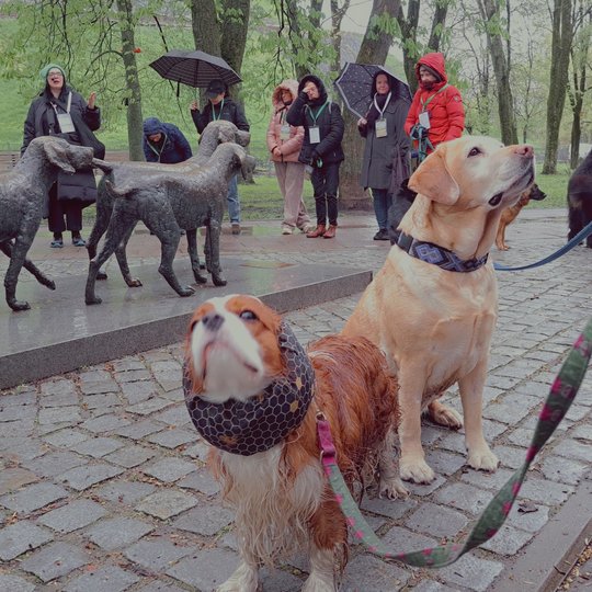Žygio dalyviai stovi Sereikiškių parke prie Lietuviškų skalikų skulptūros. Pirmame plane du augintiniai - retriveris ir spanielis.