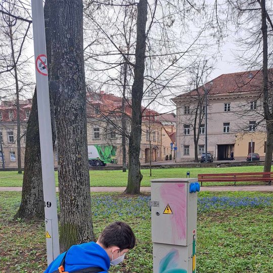 Savanoris valo skydinę prie Vilniaus pilių kupolo.