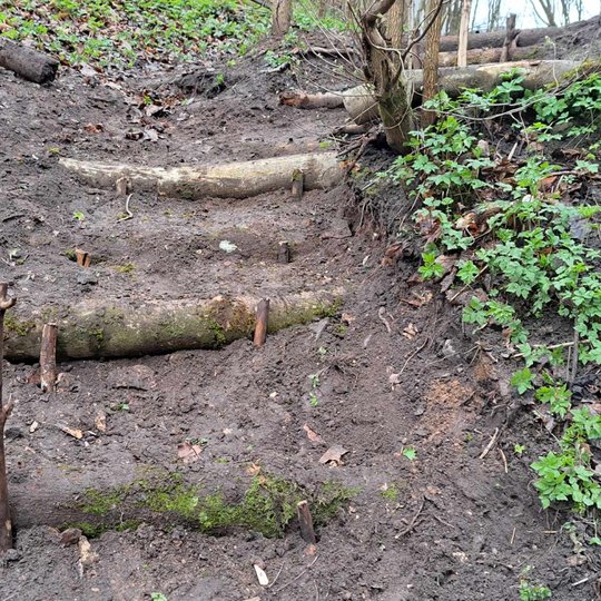 Matomos keturios laiptų pakopos. Apatinėje vienas kuolas dar laukia pritvirtinimo.