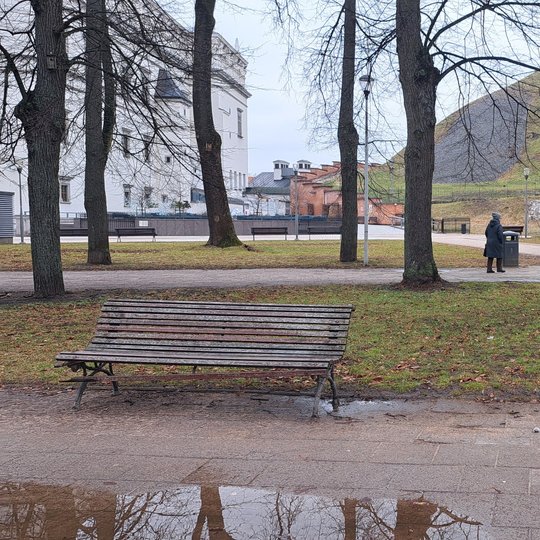 Dar vasario mėnesį fotografuoti lauko suolai. Jų dažai nusilupę, mediena drėgna.