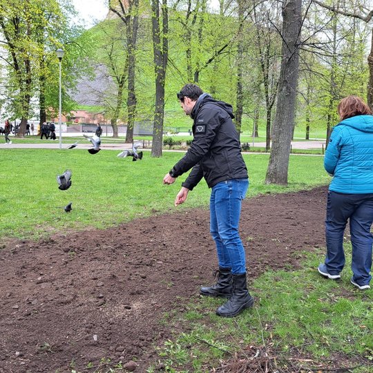 Du savanoriai beria vejos sėklas ant paruoštos žemės.