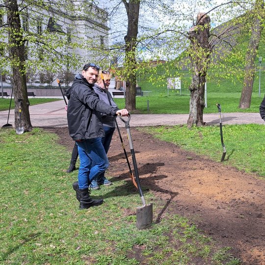 Savanoriai stovi pasirėmę į kastuvus prie jau supurento antro išminto vejos tako.