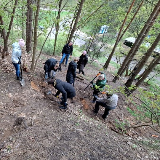 Darbų eigoje užkilome iki erozijos židinio. Kairėje - smėlio nuošliauža, dešinėje - dirbantys savanoriai.