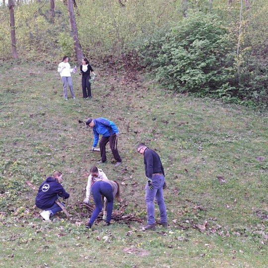 Septyni savanoriai Trijų kryžių kalno šiaurinėje papėdėje leidžia šakas žemyn į krūvą.