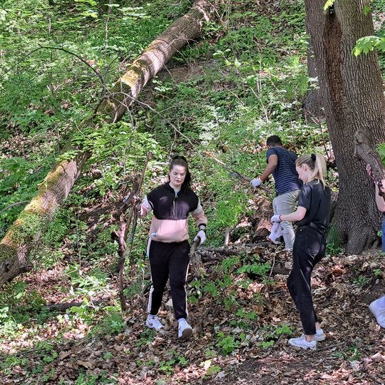 Nuotraukoje penki savanoriai, miške, renka ir neša šakas į dešinę nuotraukos pusę - prie šlaito.