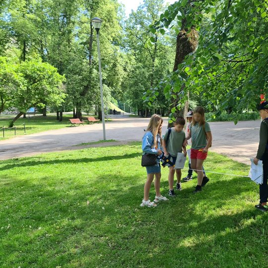 Keturi mokiniai tiesia ritėje esančią matuoklę per parko pievą.