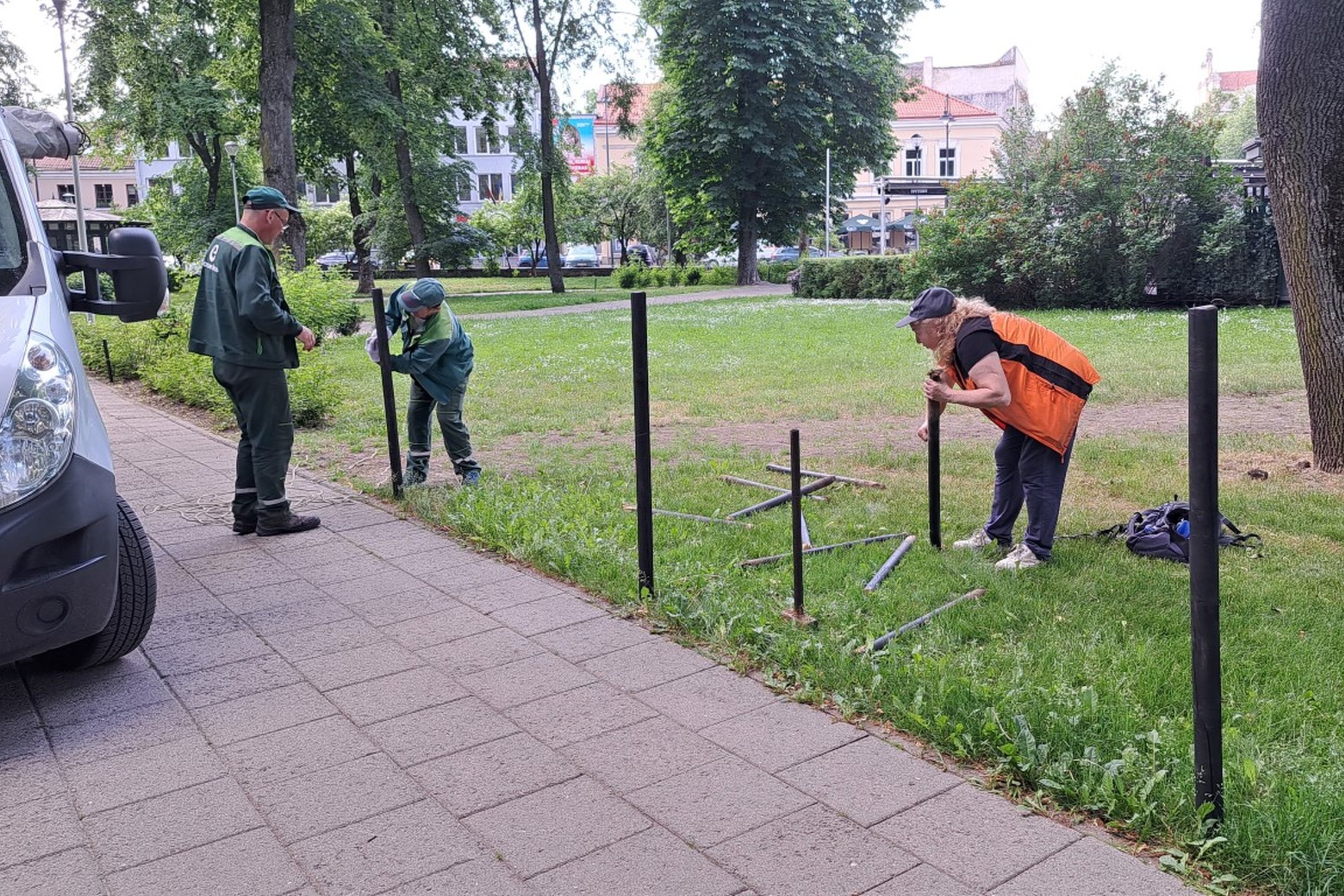 Išimami senieji ir kalami naujieji kuolai prie pasėto žolės tako.