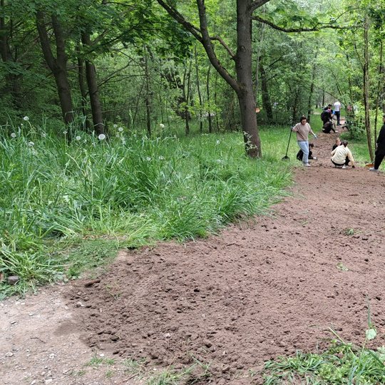 Nufotografuotas jau supurentas ir išlygintas takas, paruoštas sėjai. Tolumoje dar dirba savanoriai.
