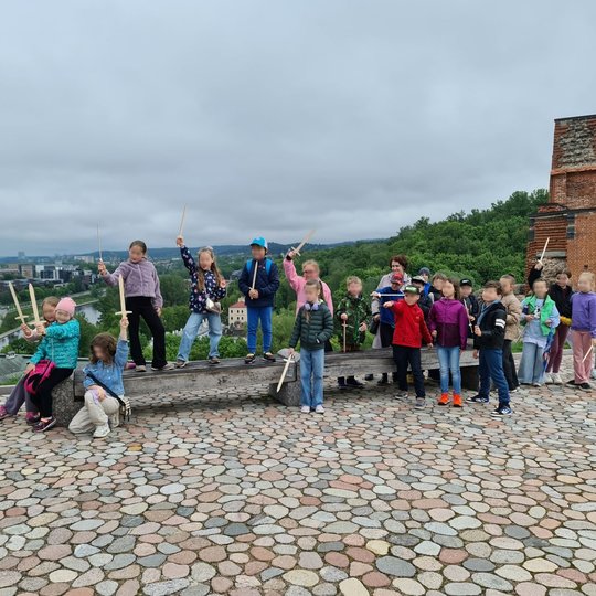 Mokiniai stovi iškėlę medinius kardus ant Gedimino pilies kalno.