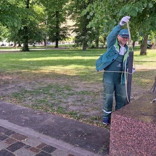 Prie įkaltų naujų kuolų rišama lininė virvė.