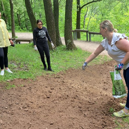 Savanorė laiko rankose maišą sėklų ir beria jas ant sutvarkyto tako.