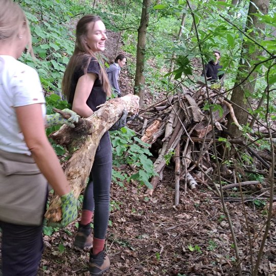 Dvi savanorės su šypsena neša rąstą į bendrą šakų krūvą.