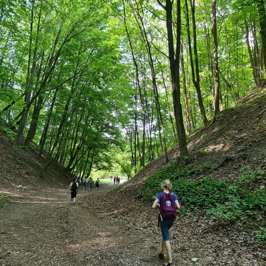 Vorelė vaikų eina Didžiąja griova.