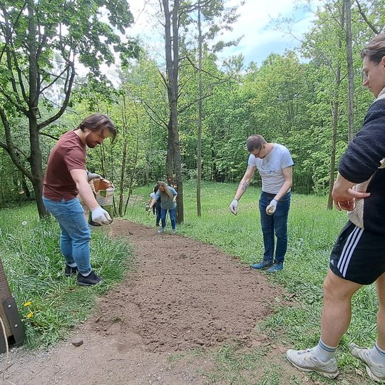 Pora savanorių beria sėklas ant paruošto vejos tako.