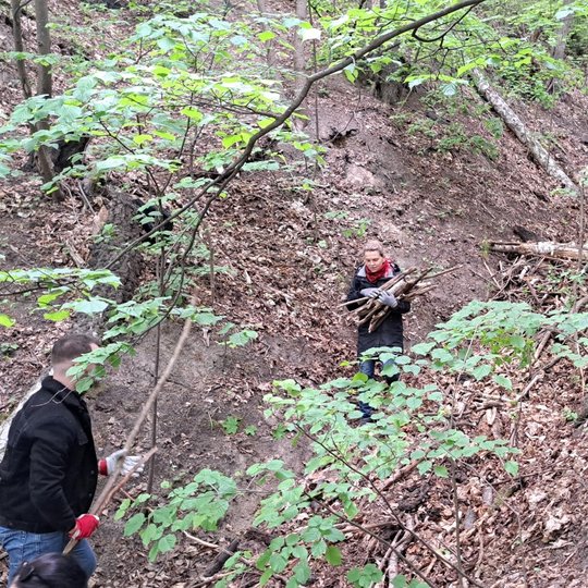 Savanoriai Bekešo kalno griovoje pasiskirstę vorele neša šakas.