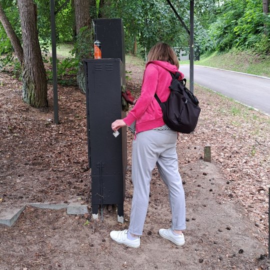 Savanorė valo elektros skydinę Kalnų parke, prie estrados.