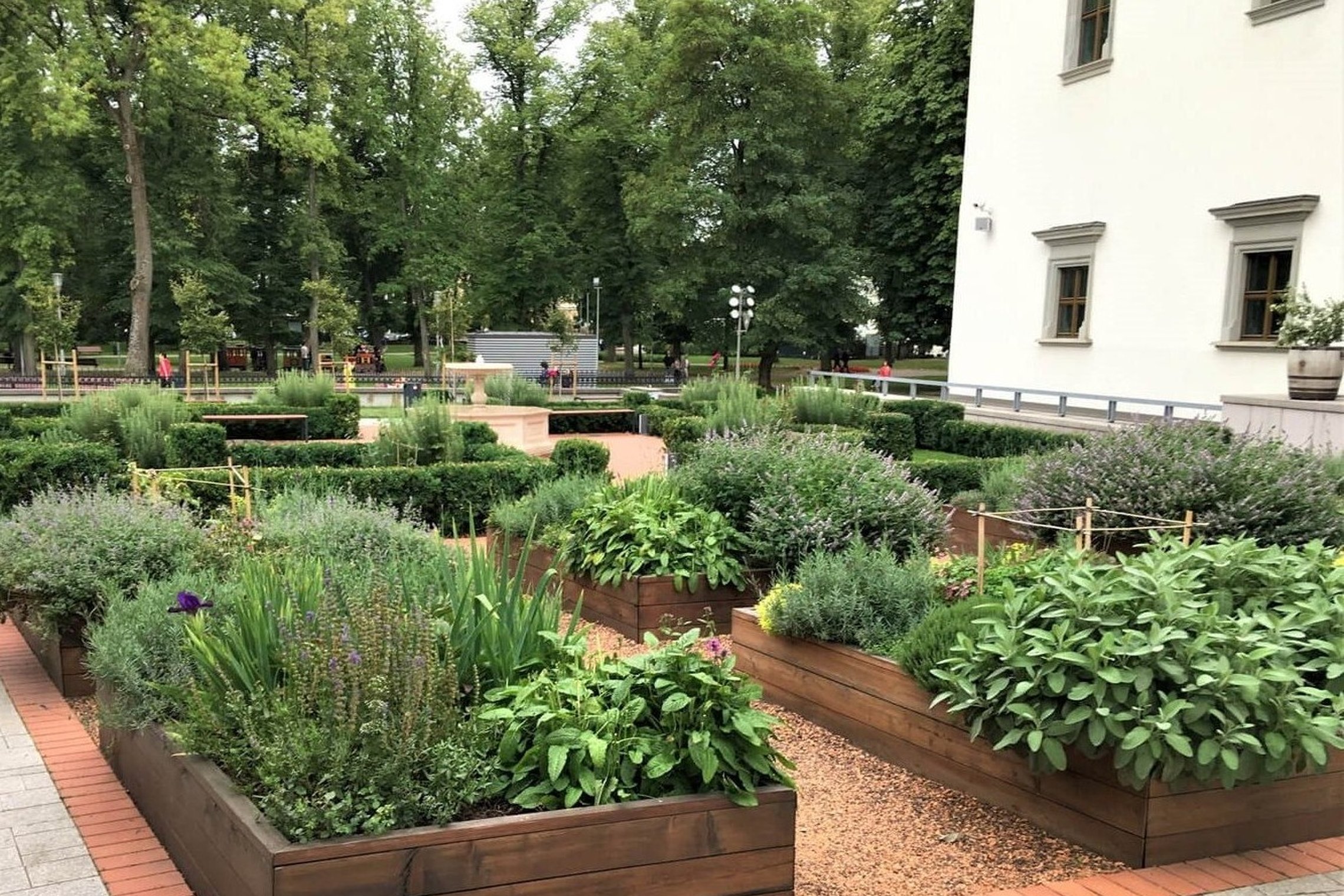 Valdovų rūmų rytinėje pusėje esančio Bonos Sforcos sodelio gėlynas.