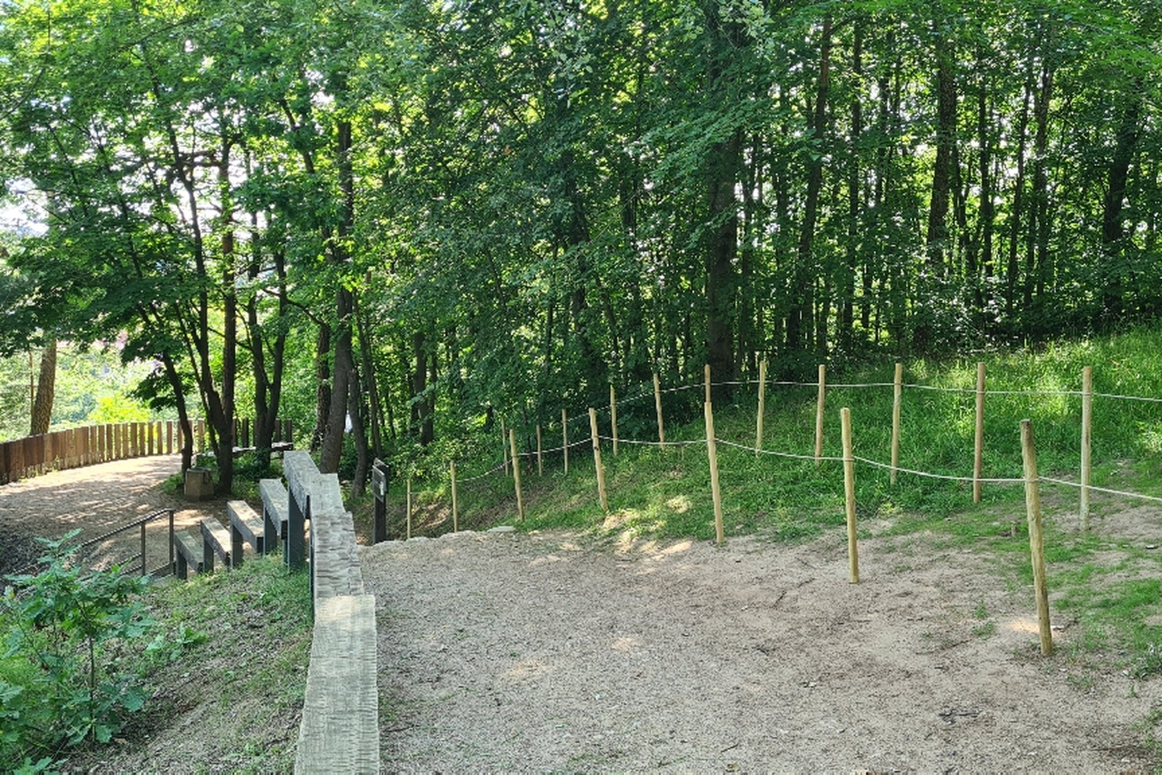 Dviem apsauginėm kuolų eilėm apjuostas žole apsėtas nelegaliai numintas takas Kalnų parke.